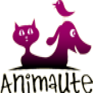 Animaute